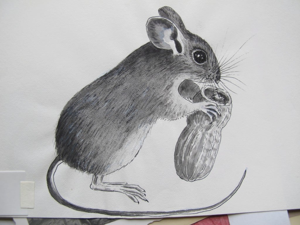 Bernd caught this mouse (with his drawing eye) at snack time.