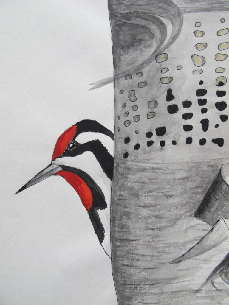 This sapsucker pops its head out in one corner of a larger painting. Bernd has been doing his sapsucker research both at his home and at his beloved cabin in rural western Maine, where he also has conducted much of his raven research over the years.