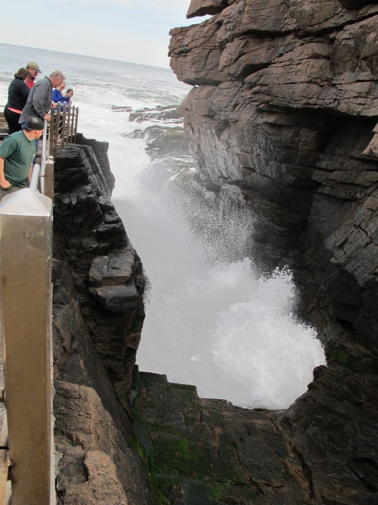 Our Earth Day week included a mountain hike in Acadia National Park and a stop to show three guests the waves, churn and BOOM at Thunder Hole, which was in rousing form.