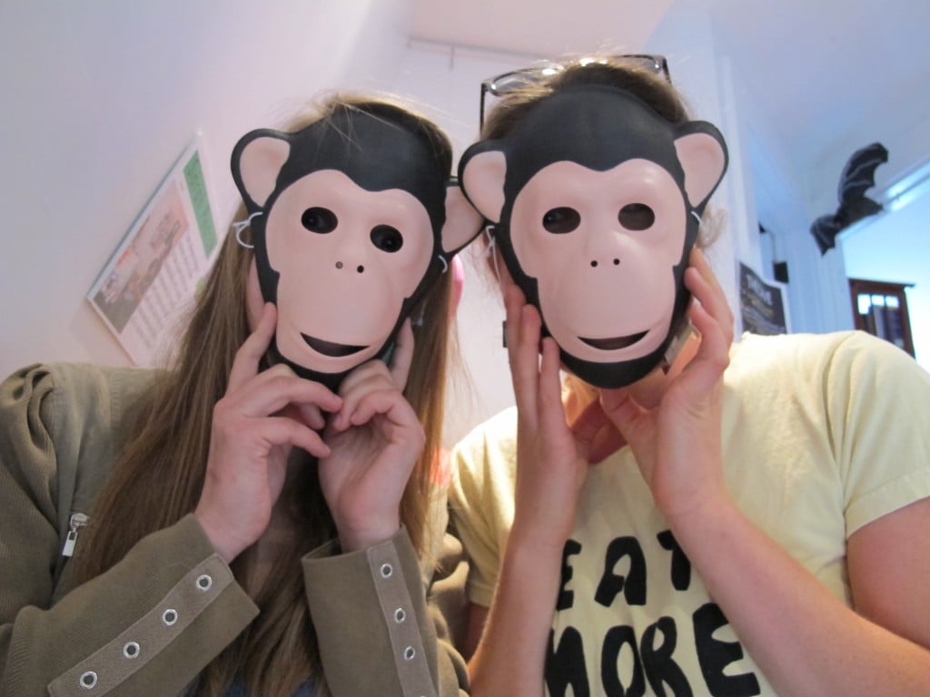 Two of our primate helpers at the Notebook this week.