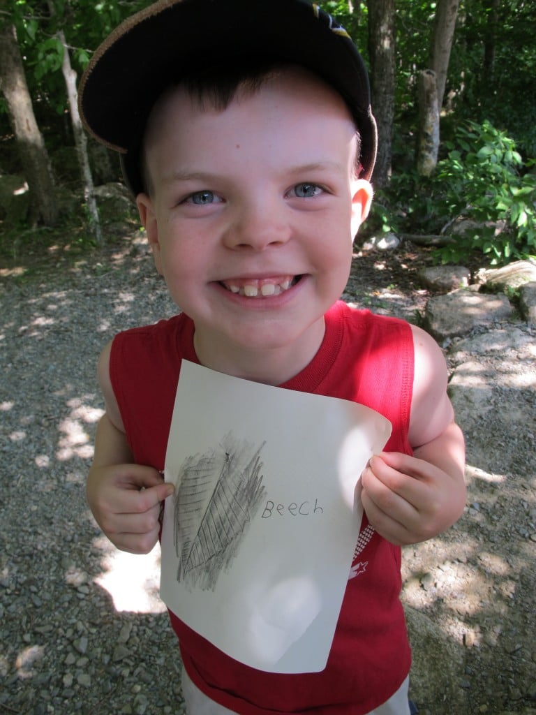 Here's a prescription for kids of any age: Combine a hike in Acadia with a lesson in how to do a leaf-rubbing. The results can be electrifying.