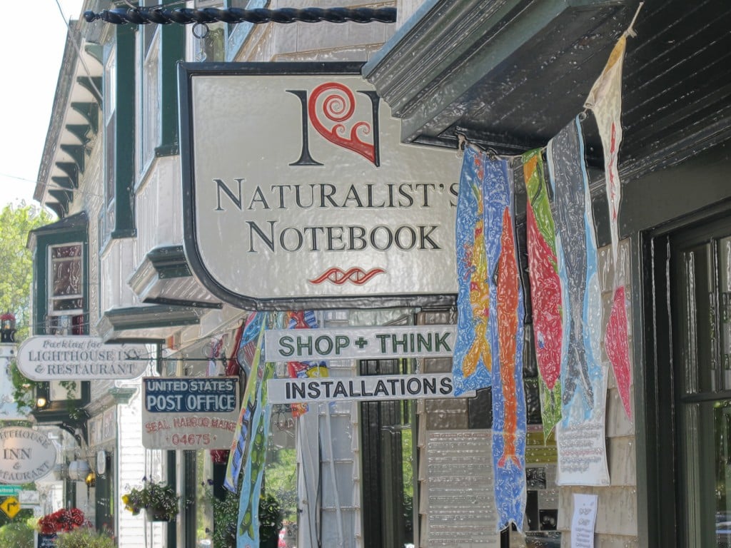 This is supposed to have a plastic feel—very unlike The Naturalist's Notebook, of course, but an interesting effect.