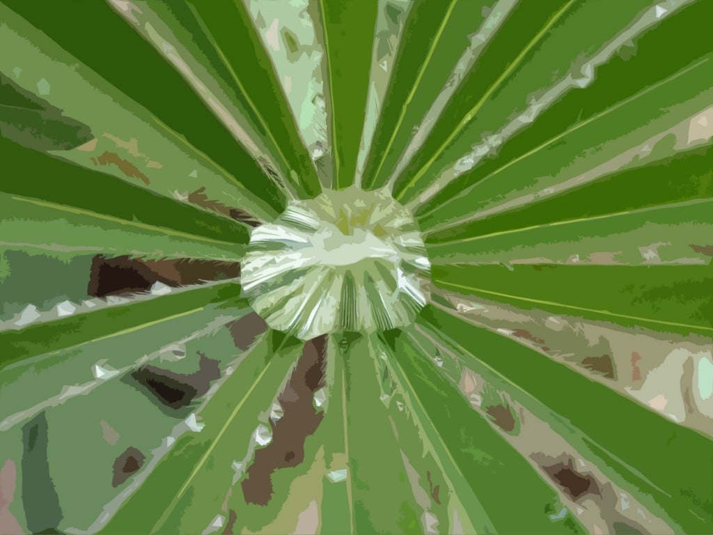 A photo I shot of a water drop on lupine, made more abstract with a cutout-paper technique.