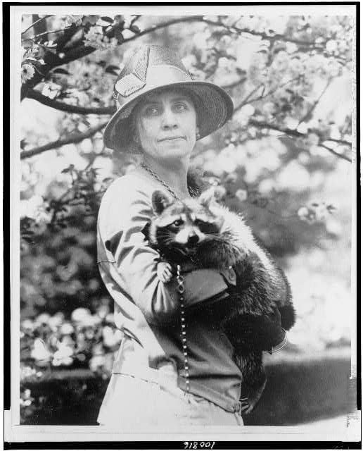 Calvin Coolidge's wife, Grace, with their pet raccoon. Among the other animals the Coolidges kept in the White House were a pair of collies, a donkey, a bobcat, canaries, a goose and a mockingbird.