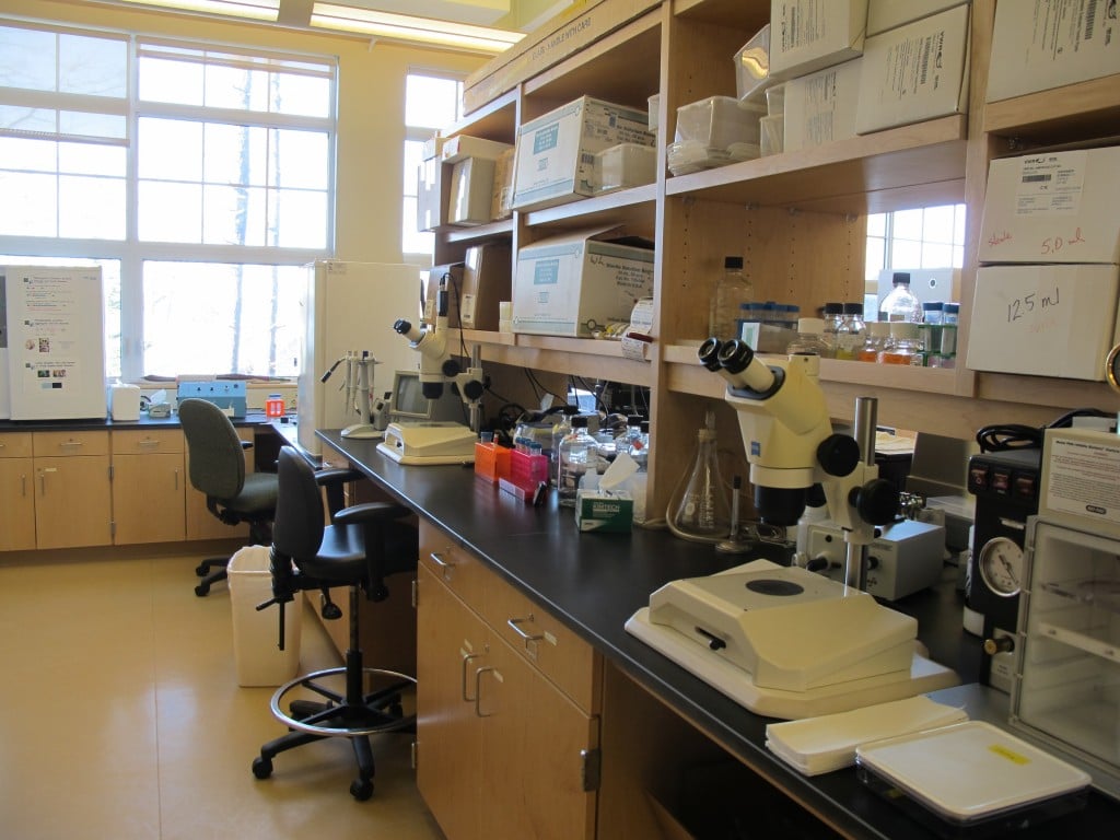 One of the labs in the new green-designed complex. In addition to the high-level reseach done here by top scientists, high school and college students learn to do things like clone genes and synthesize DNA.