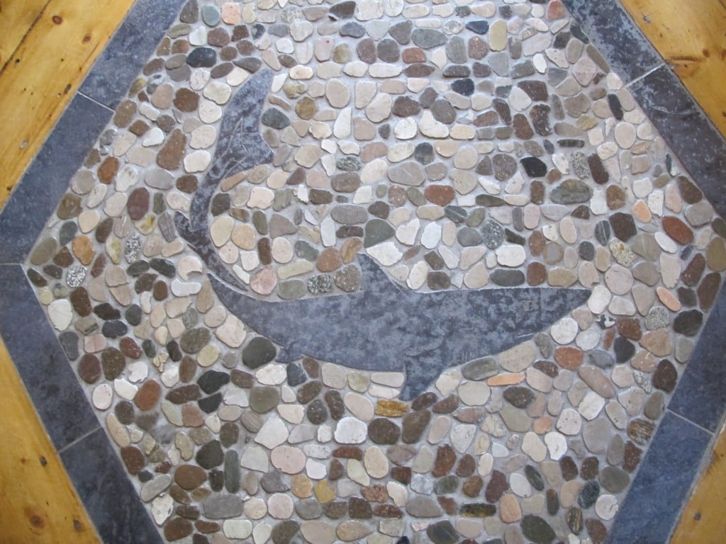 The dogfish shark symbol in a mosaic in the dining hall. That 16-inch-long shark's ability to regulate salt in its body has provided clues to help address kidney disease. Lab researchers have also studied the dogfish shark in search of a cure for cystic fibrosis.