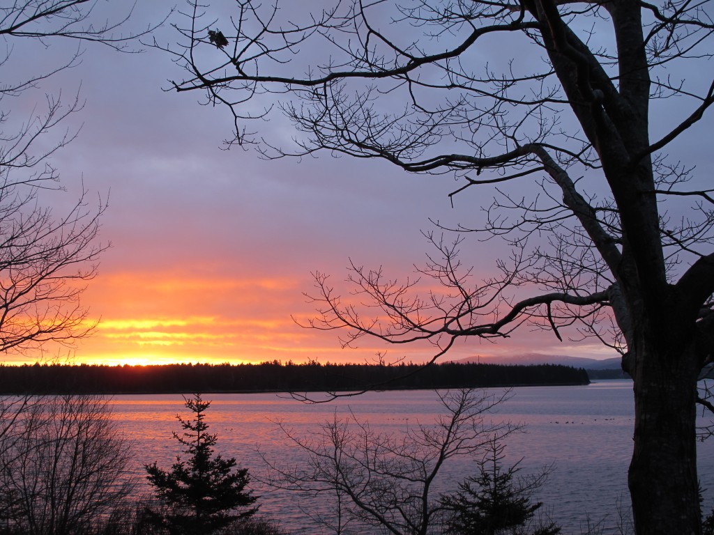 Just to illustrate how the Sun's position is changing (and show you how beautiful Maine is, as E.B. White knew), here's a shot of yesterday's sunrise at our house. Back in December, the Sun rose on the far side of that tree and those mountains on the right.