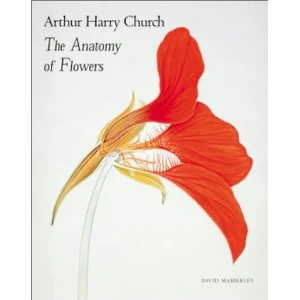 Though Arthur Harry Church never thought of himself as an artist, his flower paintings have been compared to Georgia O'Keefe's.