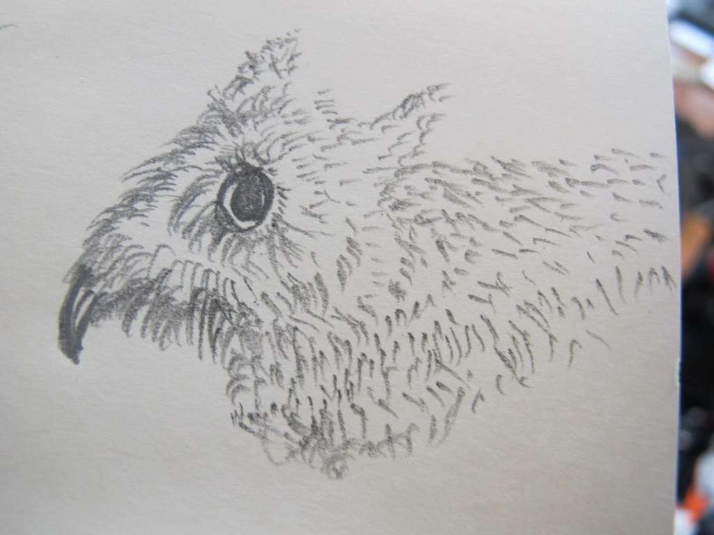 O.K., so odd things happen sometimes. I like this little creature I sketched...but I was trying to draw an owl. Midway through, I realized I was blundering badly, so I channeled my inner Charles Darwin and hastened the evolution of what I decided to call a beaver-toothed mouse.
