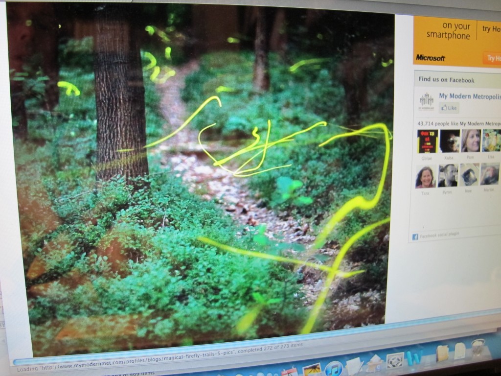 Click on the link below for more of Kristian Cvecek's firefly images.