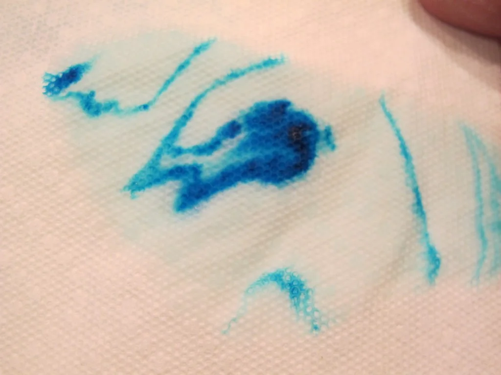 We made a bird print on a paper towel.