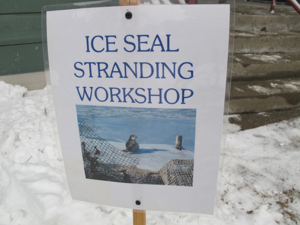 I'm not saying that Pamelia and I are now ready to star in an animal-rescue version of Coast Guard Alaska, but a few hours in a college lecture hall at least gave us a basic knowledge of how to respond if we encounter a marine mammal in trouble.