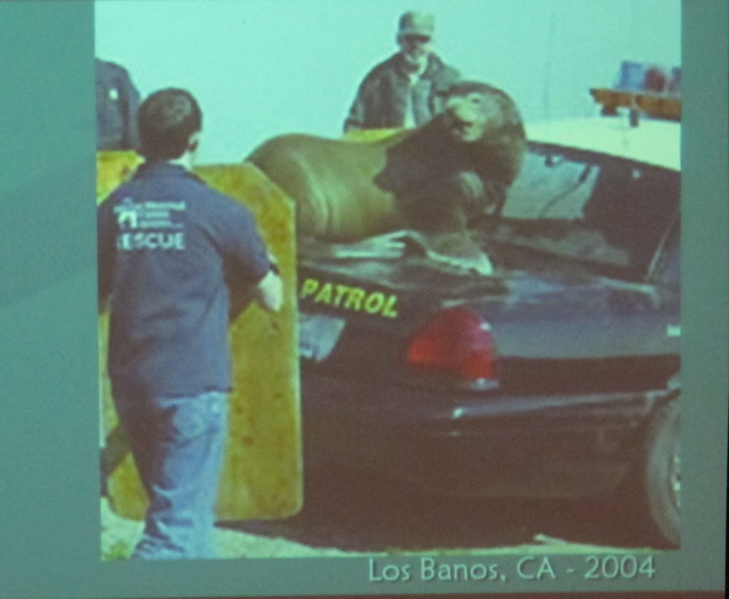 One Adam 12, One Adam 12, we've got a situation with officers held at bay in Los Banos...