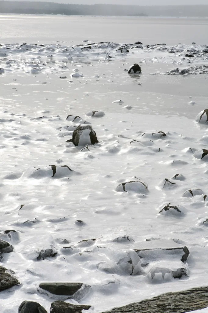 Is it just me, or do these rocks popping up through our ice make you think of dinosaur eggs hatching? O.K., it's just me.