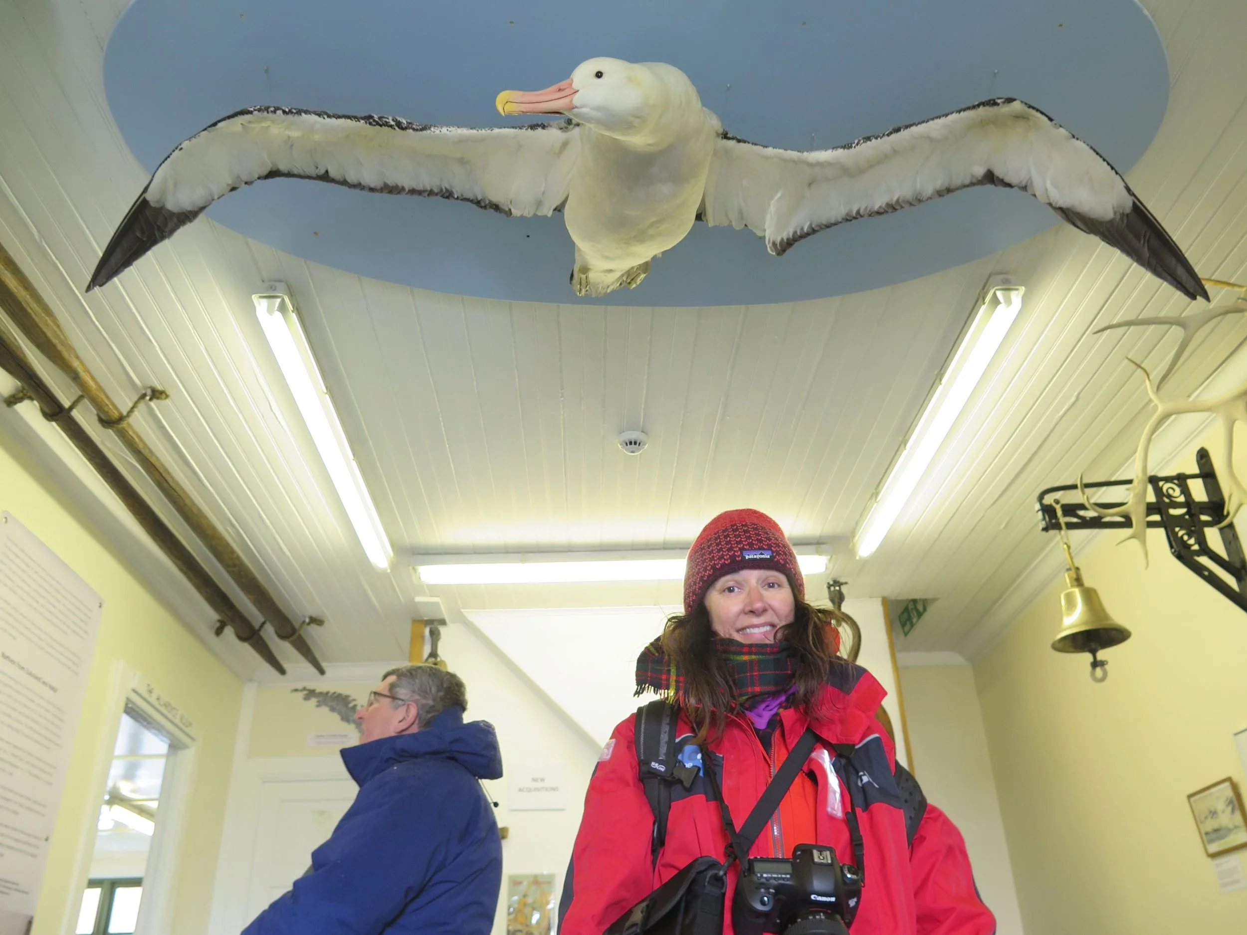 Pamelia checked out the albatross and other specimens in the museum.