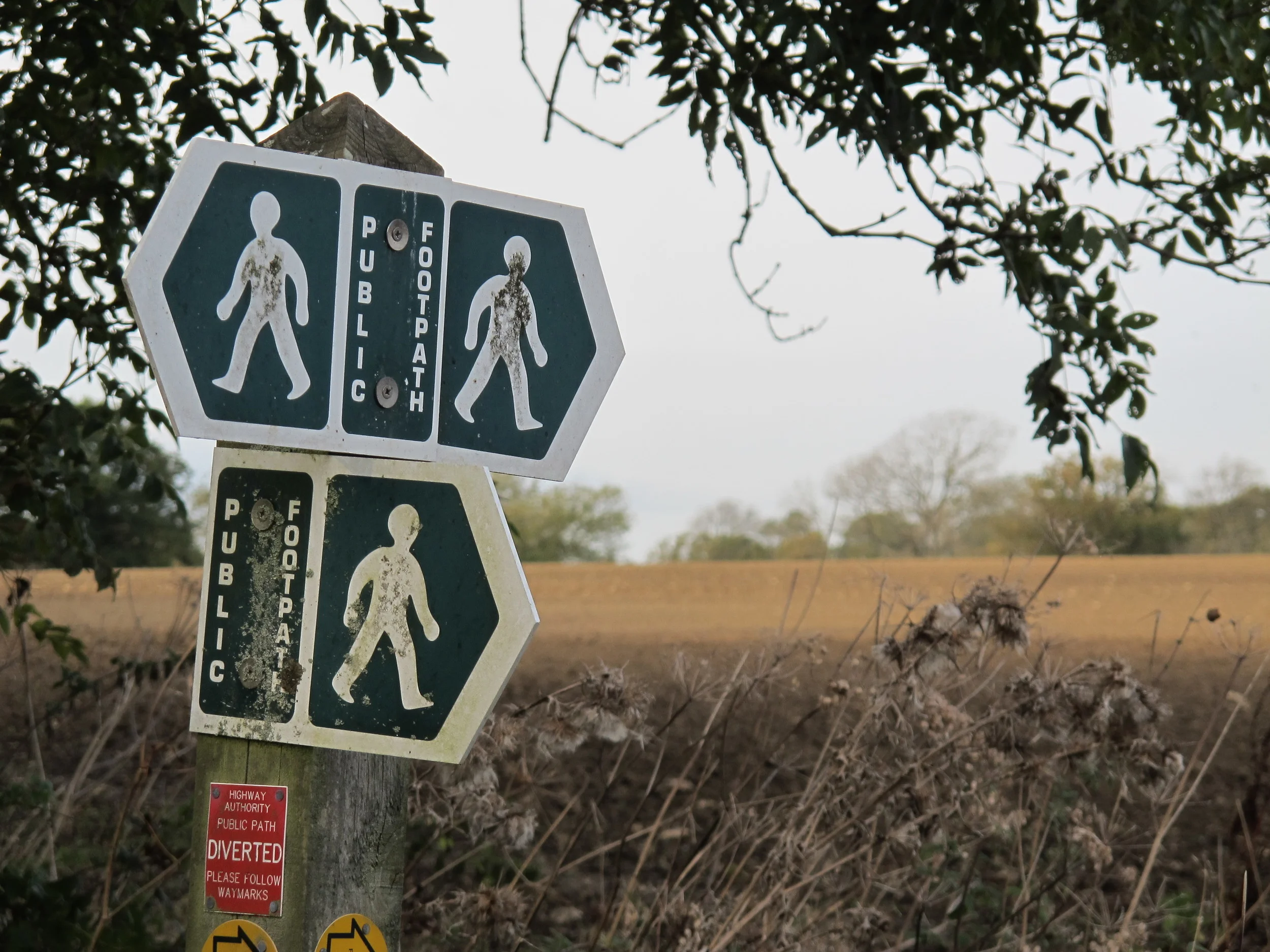 Pamelia and I hiked through woods and farm fields on a network of public footpaths that was marked, though not always with complete clarity.