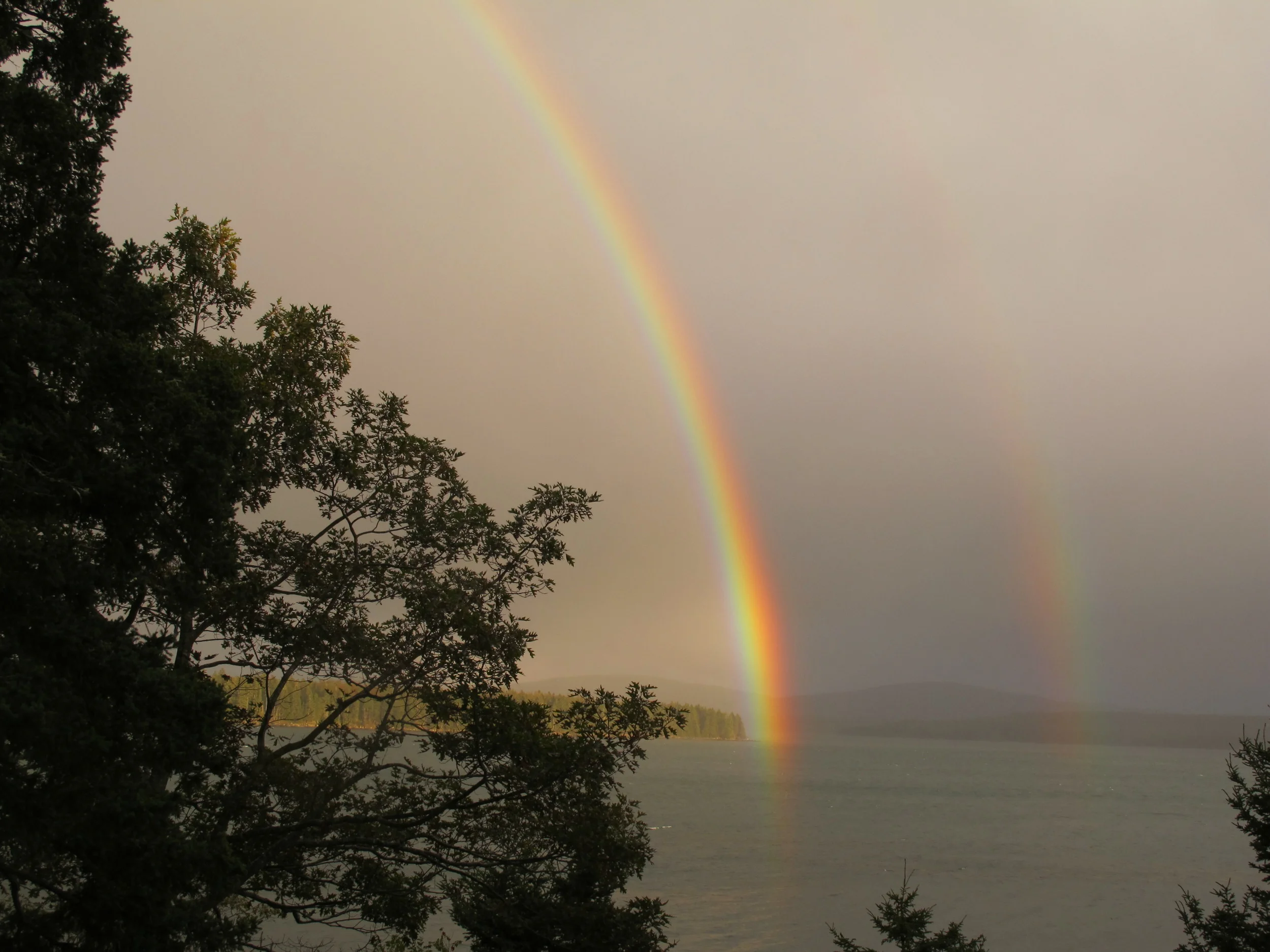 ...and then the second double rainbow, which arrived 10 minutes later, after another rain squall. This rainbow appeared to reach almost to our doorstep.