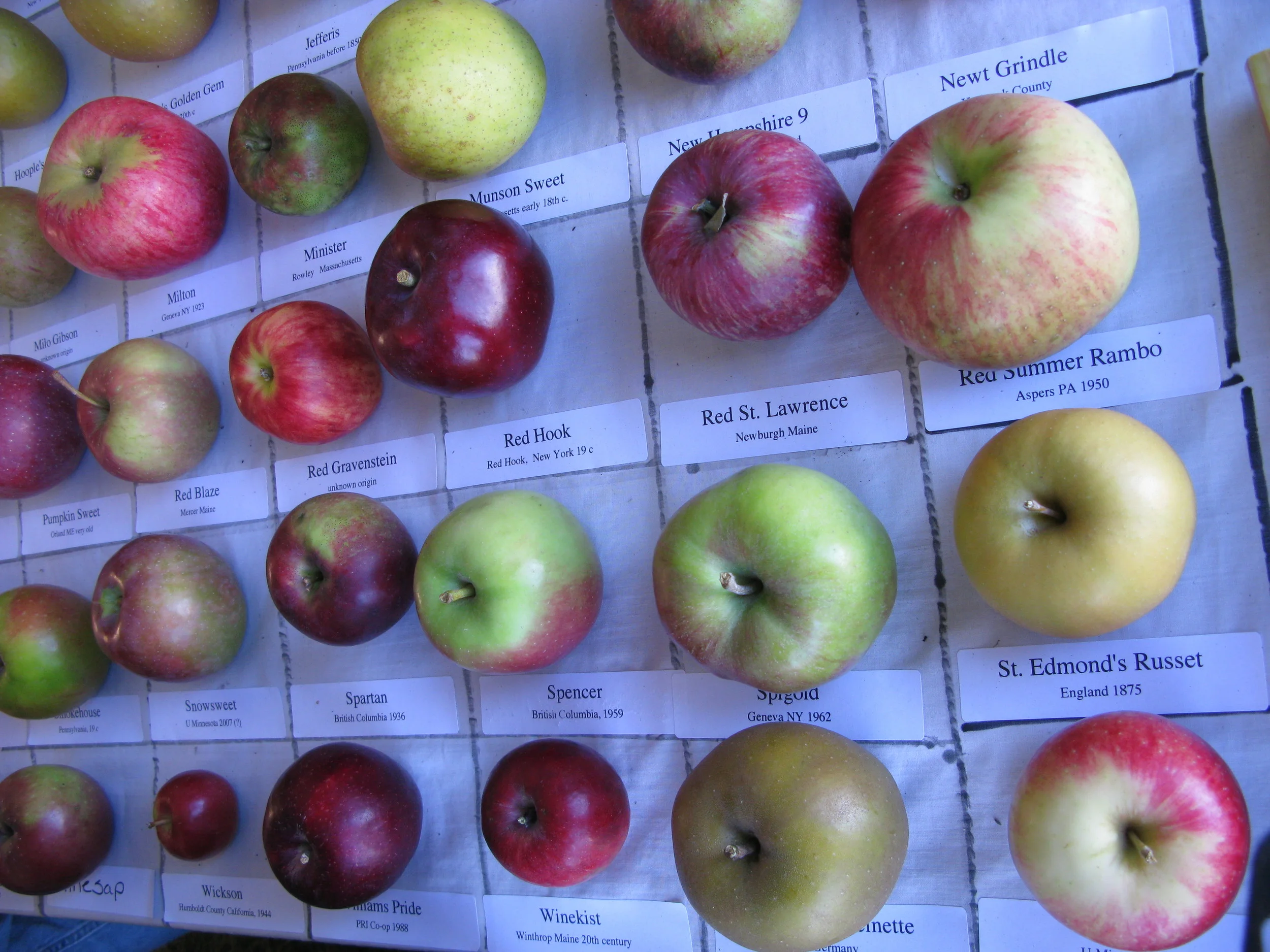The fair is known for its display of rare heritage apples–believe it or not, Maine used to have 10,000 varieties.
