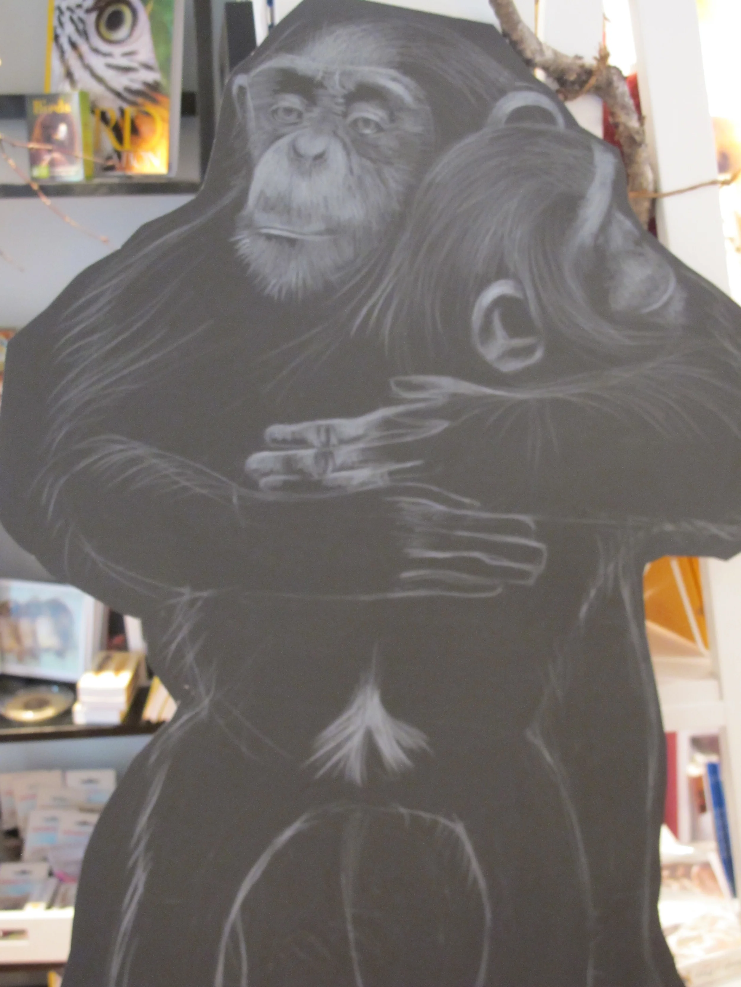 One of several chimp illustrations done for the event by Kathy Coe, the portrait painter who teaches our children's art classes.