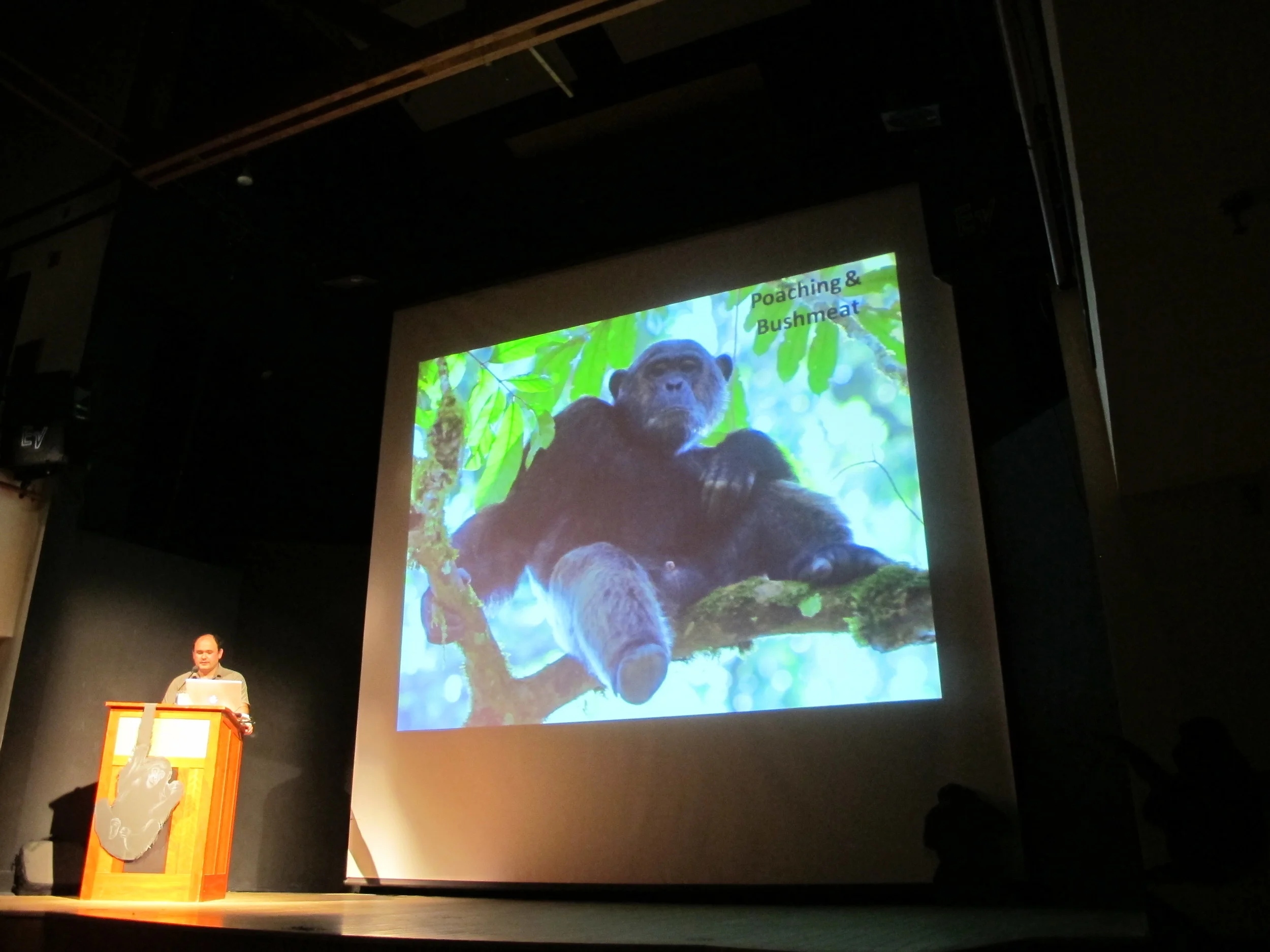 Lilian discussed everything from conservation technology to Jane Goodall's 300-day-a-year travel schedule to the problem of poachers killing chimpanzees for bushmeat.
