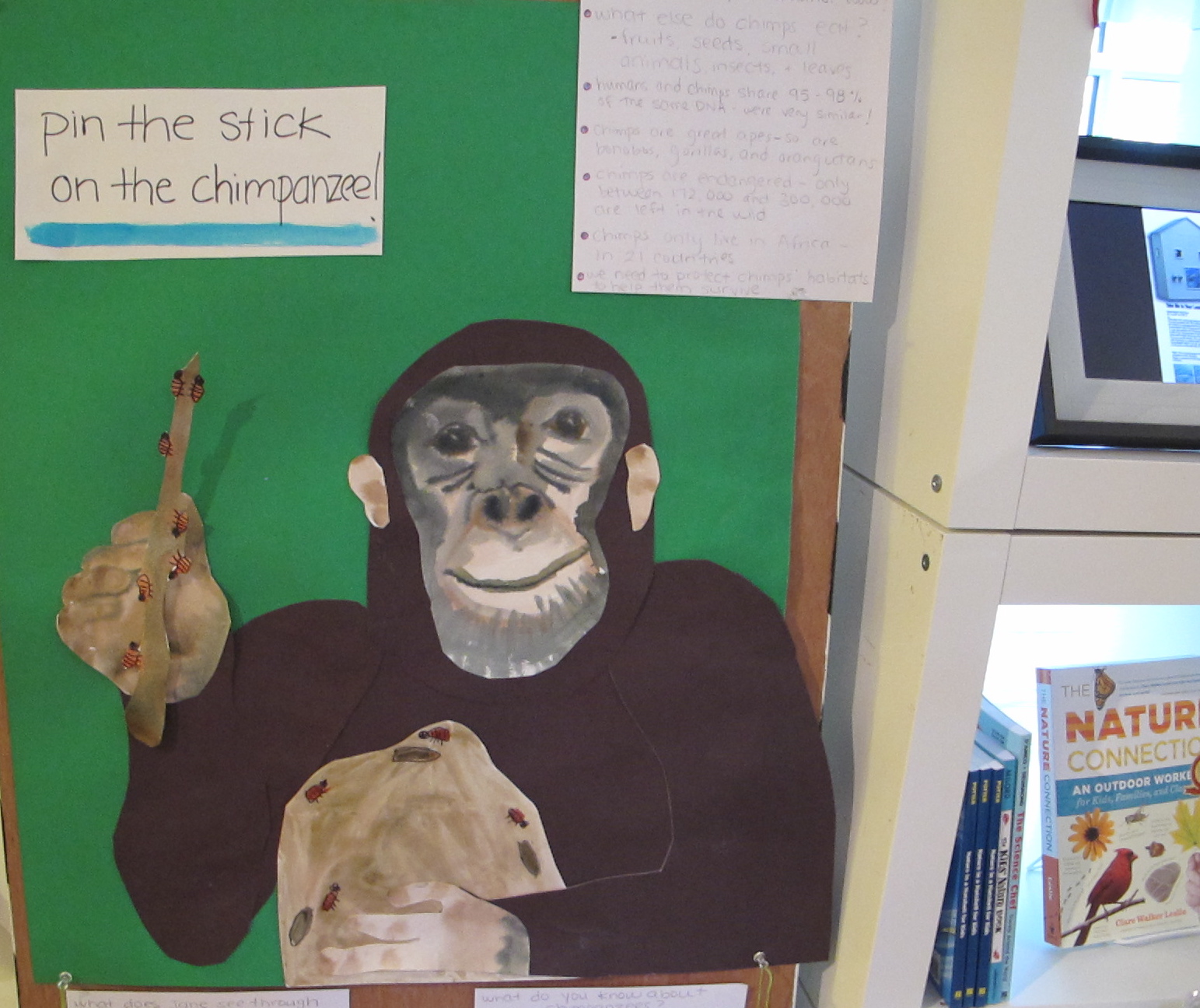 Where else but the Notebook can you play games that help you learn about chimpanzees?