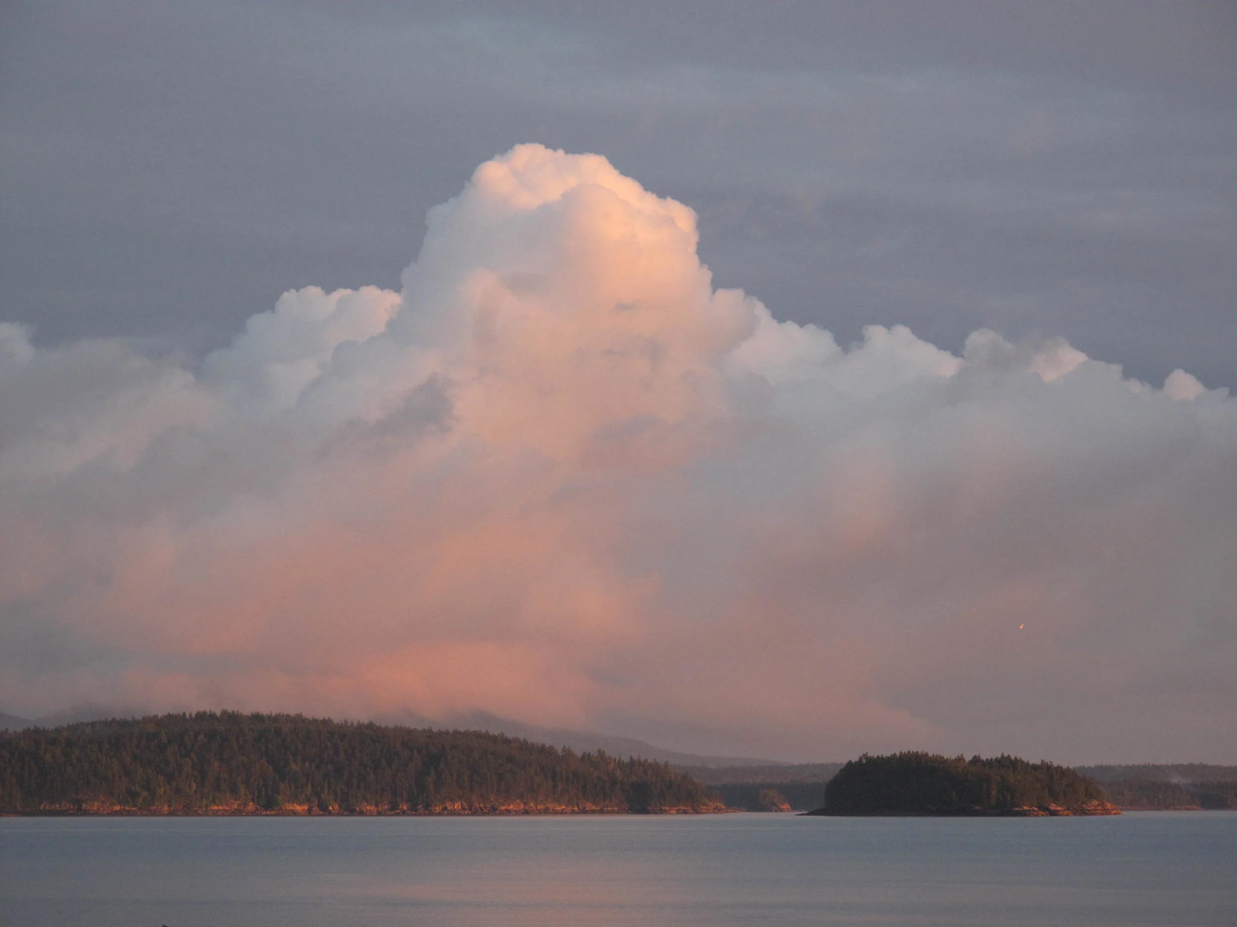 Meteorology quiz: What type of cloud formation did we see when we looked out at this scene by our house this week?