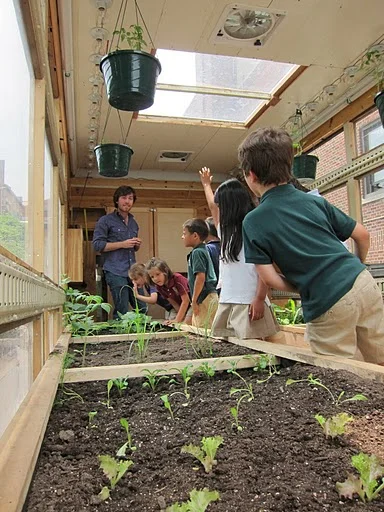 Inside the mobile greenhouse with Nick and some young sprouts.