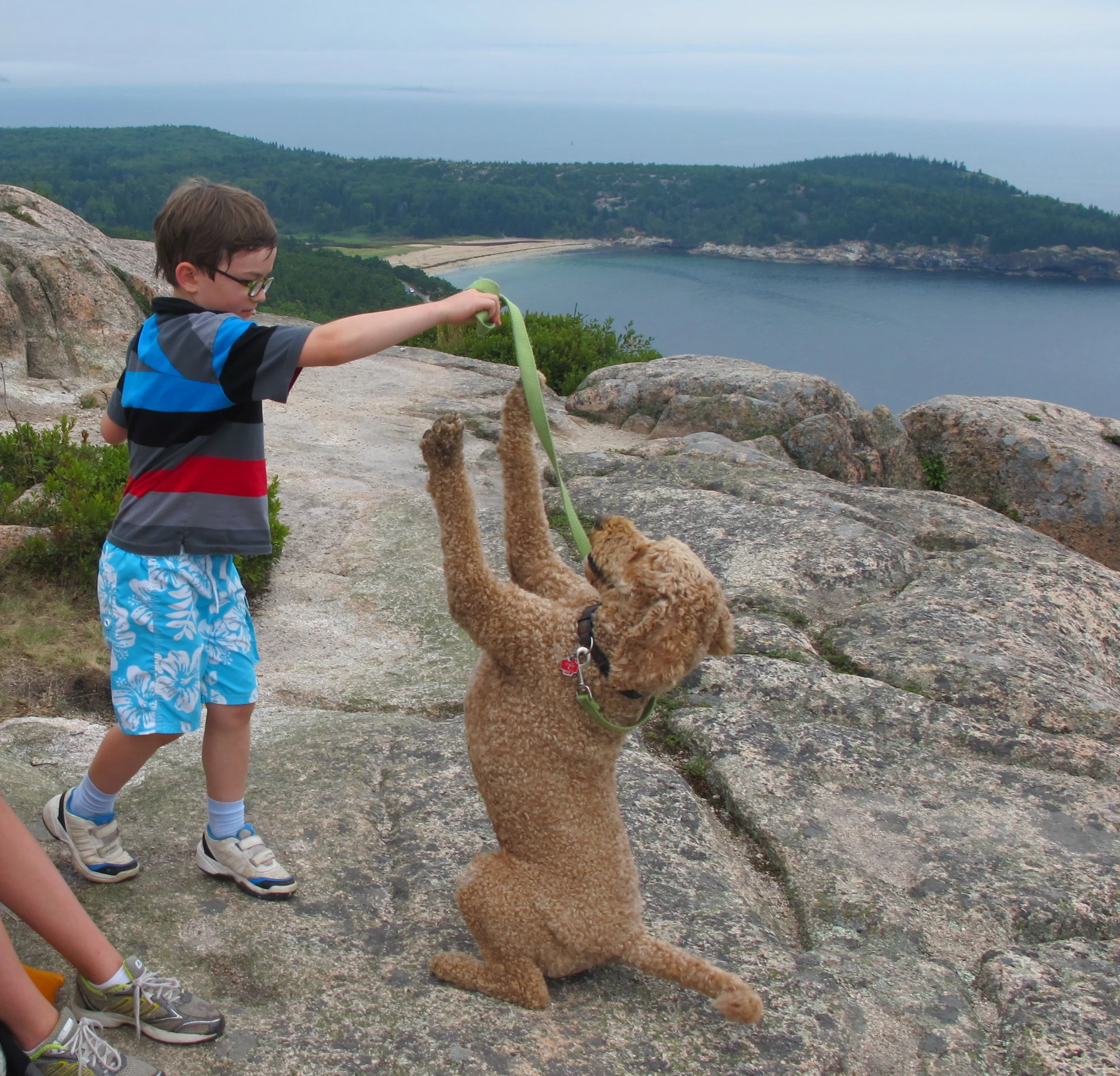 We took a break to climb Gorham Mountain, overlooking Sand Beach in Acadia National Park. Hazel the sweet labradoodle was plenty excited, as was our young friend Harrison, a visitor from Paris.