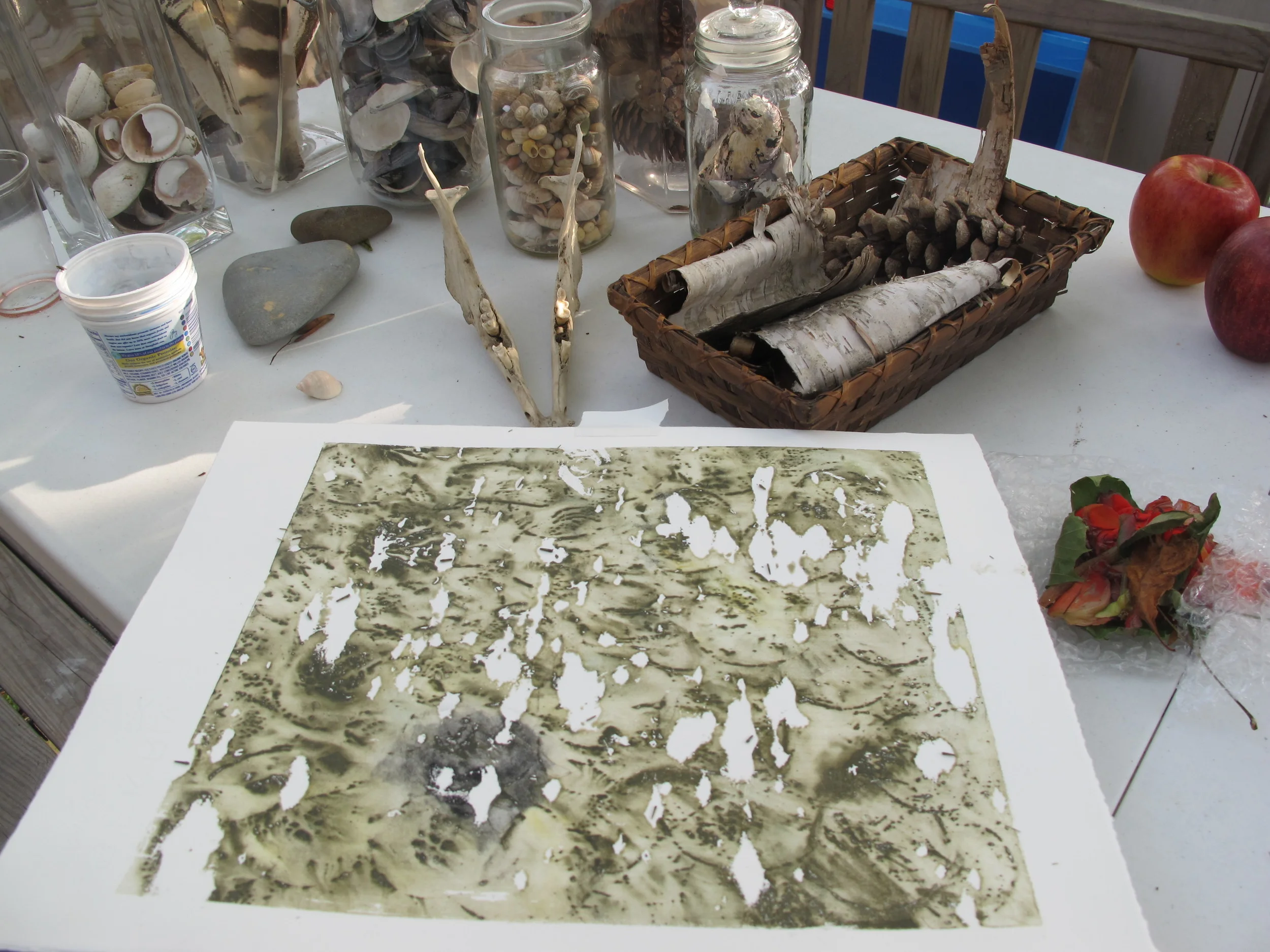 This striking monoprint had the look of birch bark.
