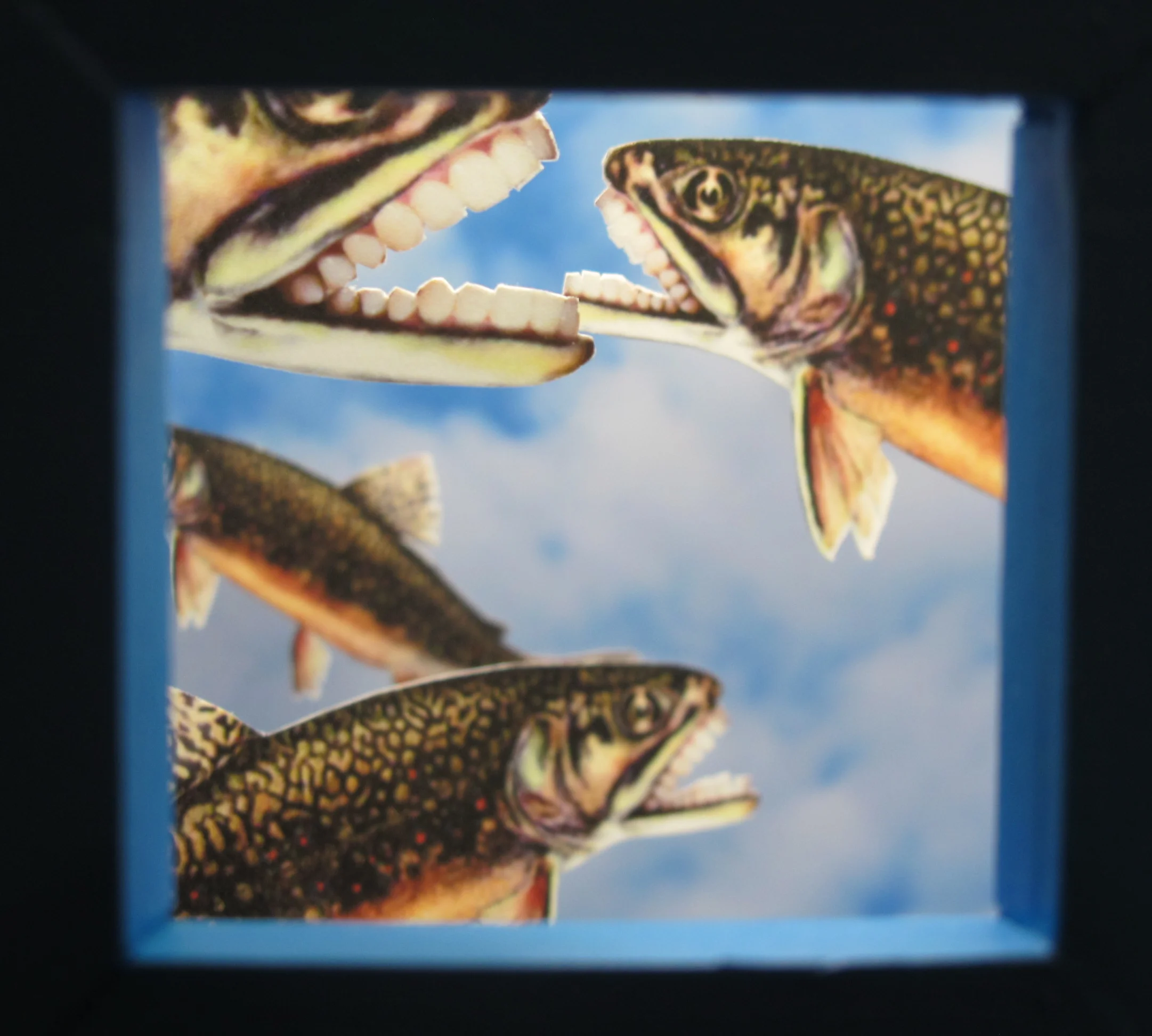 Rocco's love of fishing (but failure to catch many) may have inspired him to give these guys dentures.