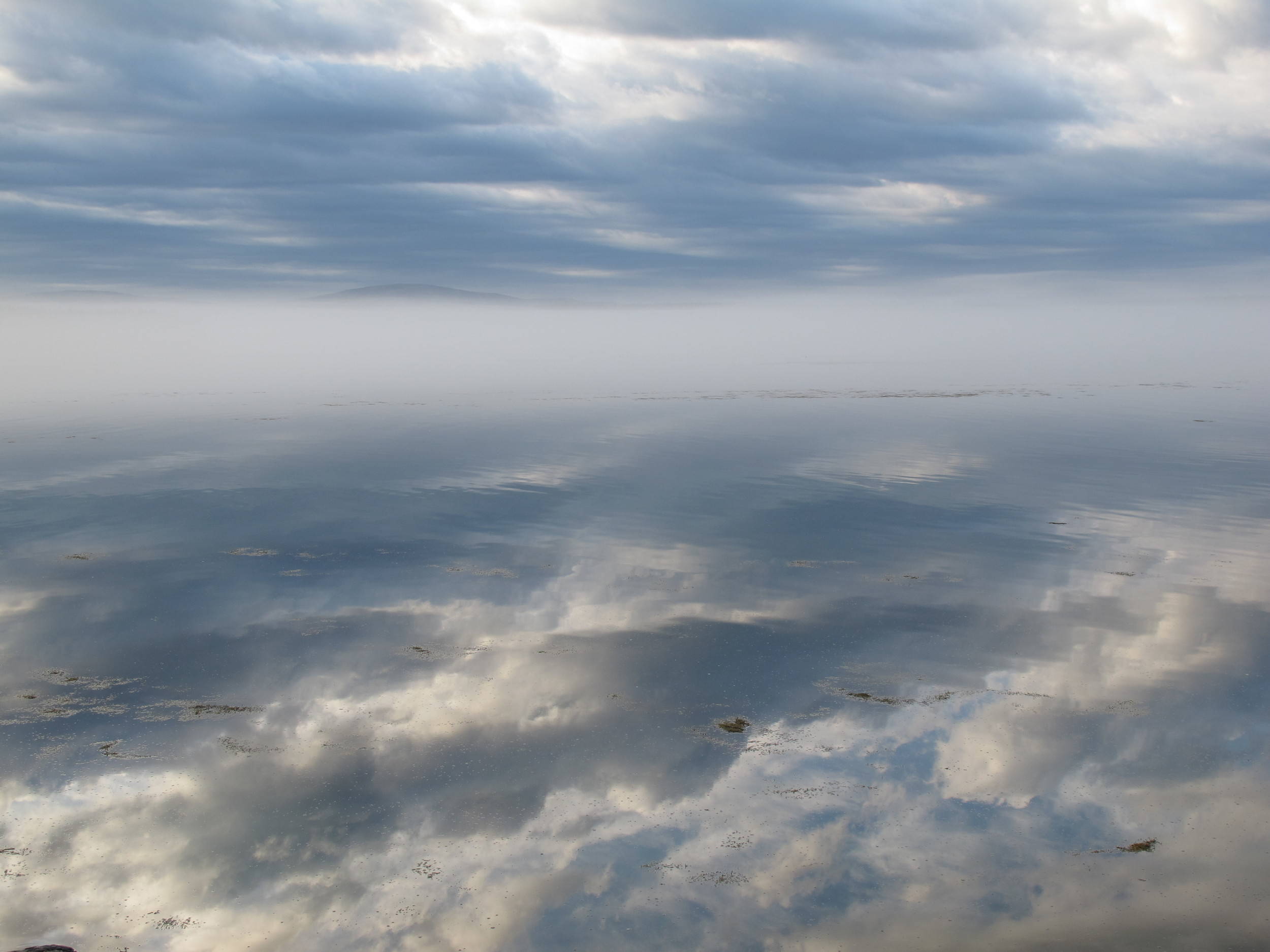 Even as the world was focused on the beauty of this morning's royal wedding at Westminster Abbey (where Isaac Newton and Charles Darwin, among others, are buried), I looked out at Western Bay from our house and saw this marriage of light, water, cloud and rock.