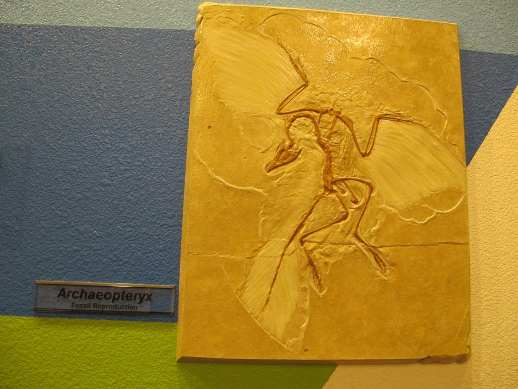 Here's the archaeopteryx cast we saw in Boise.