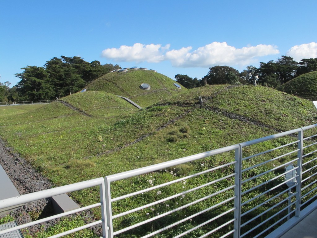The academy's two-and-a-half-acre living roof is growing 73 species of native plants in a six-inch layer of soil. The roof insulates the building well in winter in summer, reduces rain runoff and attracts butterflies and birds.