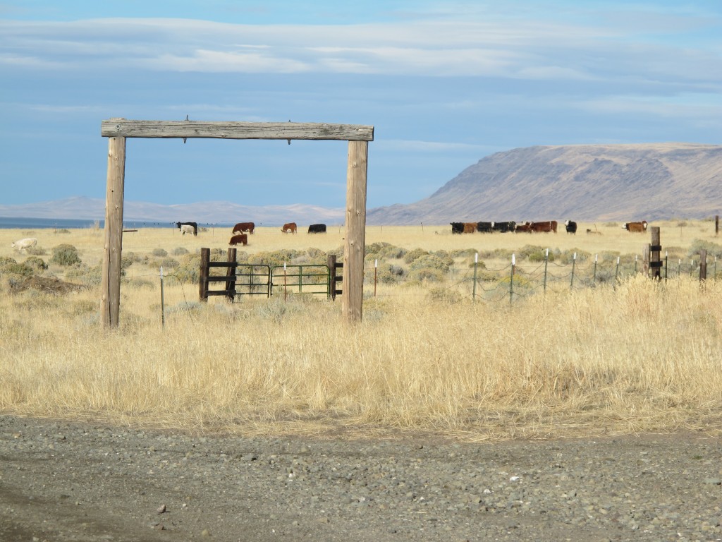 That's Albert Rim, a 2,500-foot high fault-line scarp that overlooks Albert Lake, a half-dried-up inland sea in Oregon.