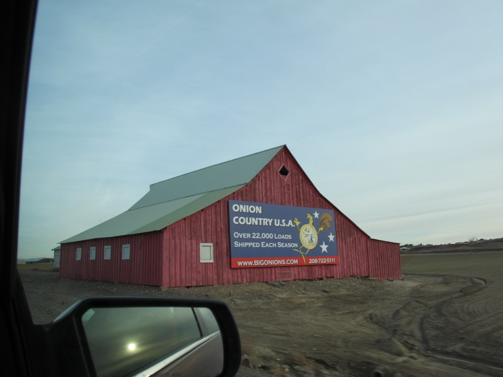 The climate and volcanic soil (also good for Idaho's famous potatoes) has helped Eastern Oregon produce some of the world's best onions (mostly large, yellow ones).