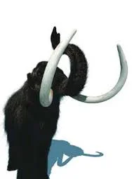 So what do you think? A mammoth exaggeration?
