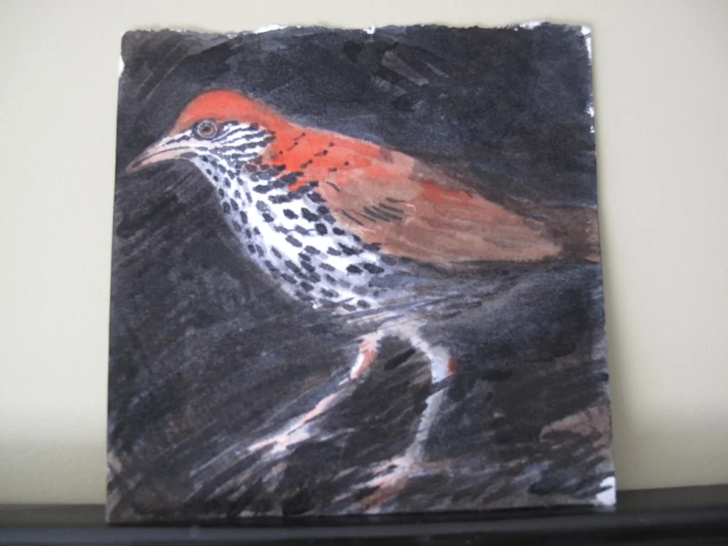 A little gift of a little bird.