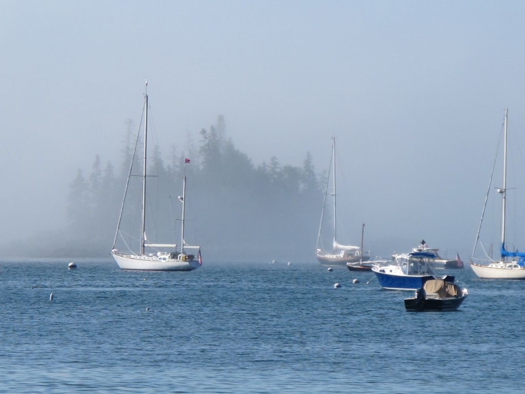 sealharbfogThis week in Seal Harbor: Though we've had gorgeous weather, the fog on the ocean forced the cancellation of several whale-watching trips from nearby Bar Harbor.
