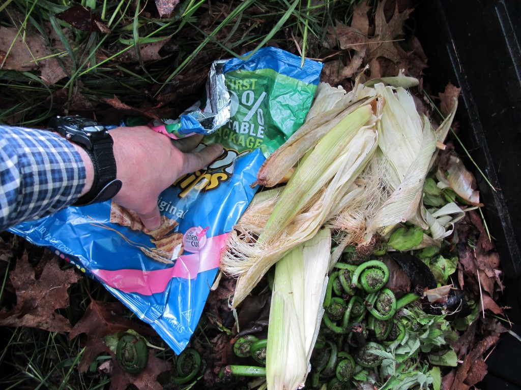 Side order of chips with those leftover cooked fiddlehead ferns?