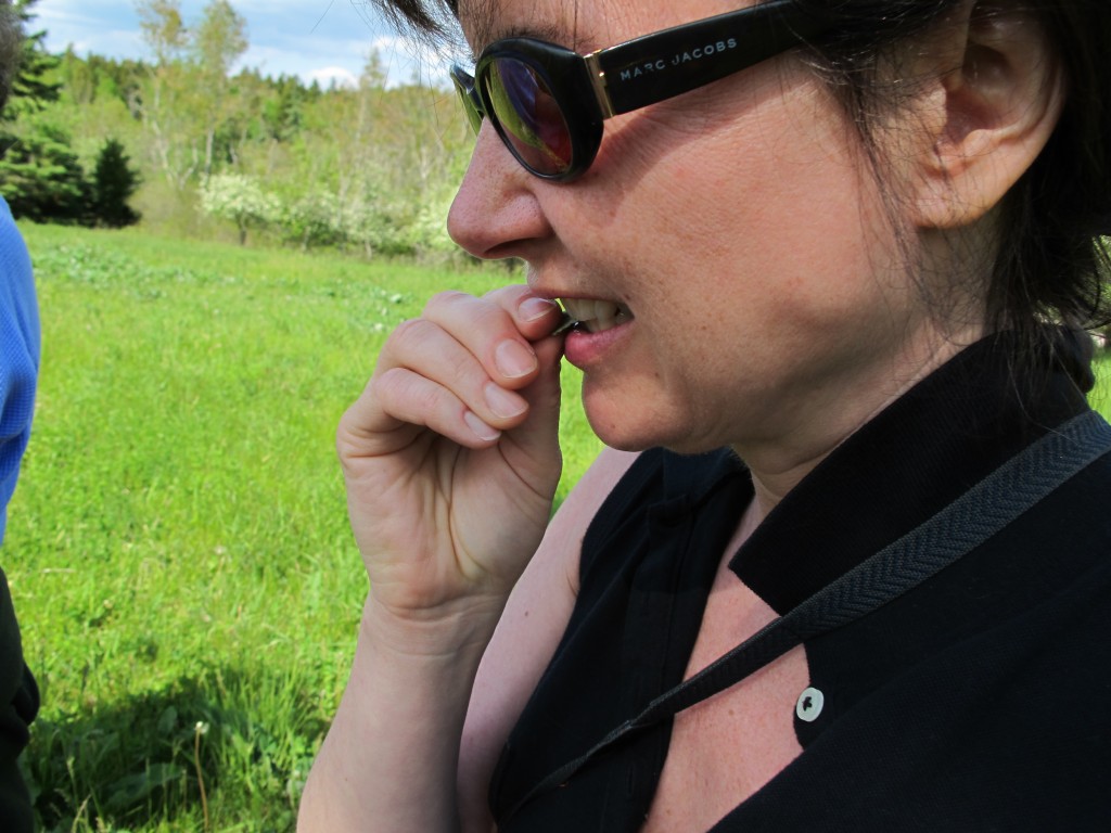 Pamelia learned the hard way that burdock leaves are painfully sour.