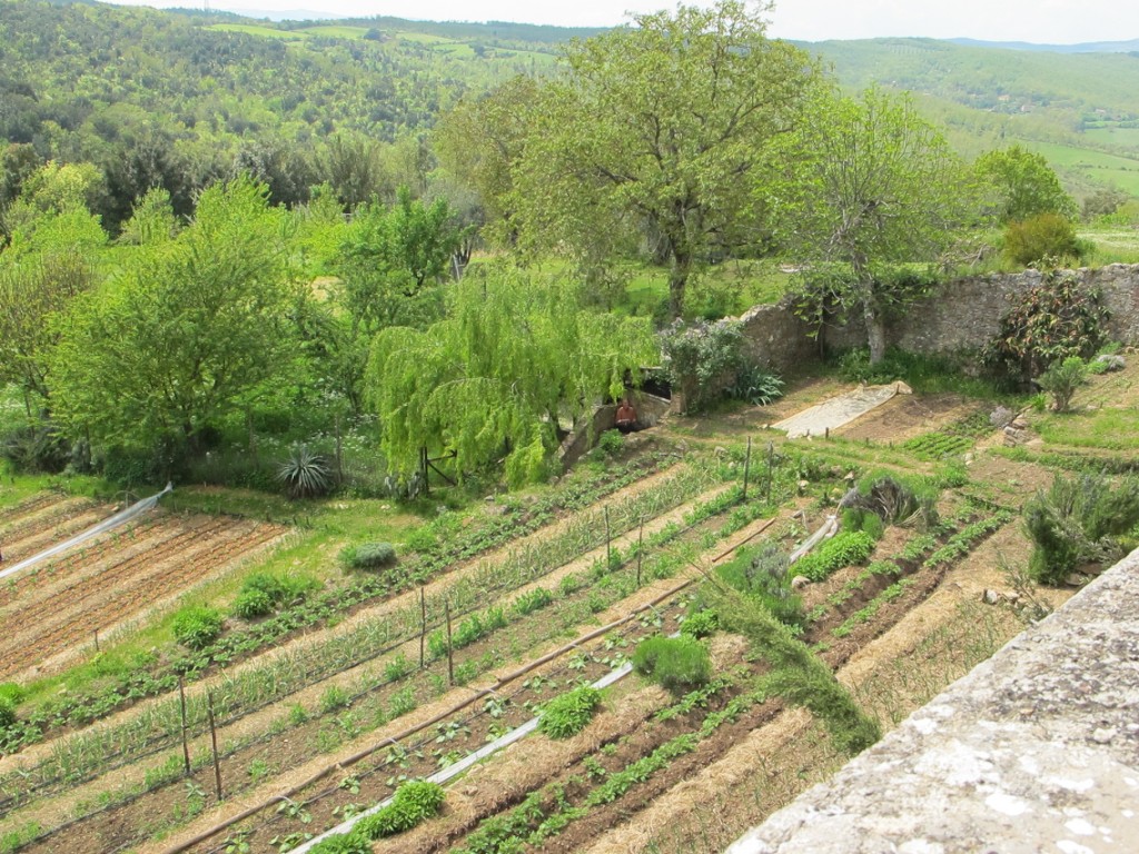 Look just beyond the vegetable garden and you'll see me on the stone stairs sketching with ink, pencil and conte crayon.