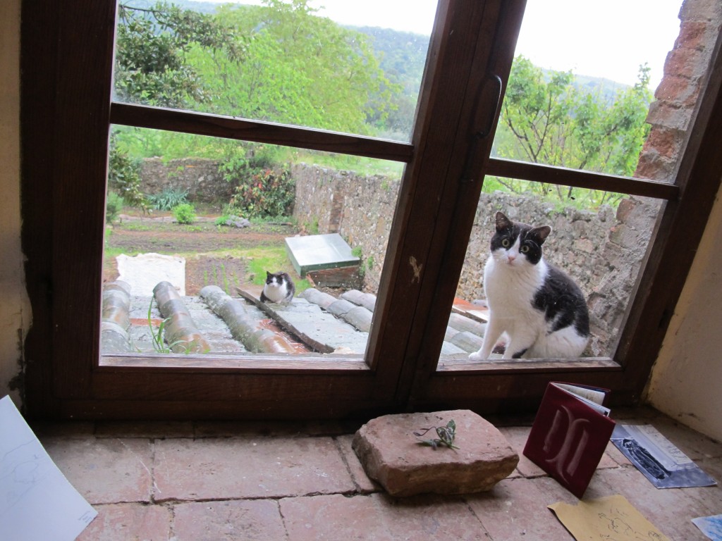 Other curious observers came by the studio window to watch us work.
