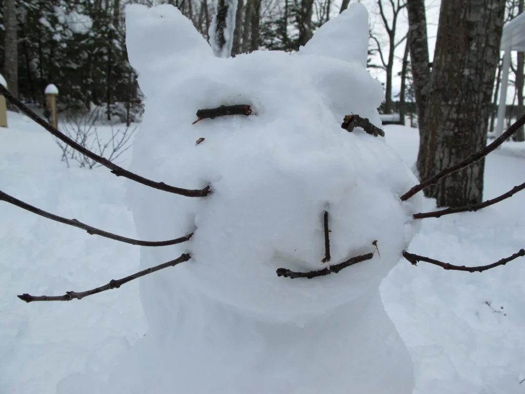 The January snow that buried the Notebook also brought to life a frisky snow cat!