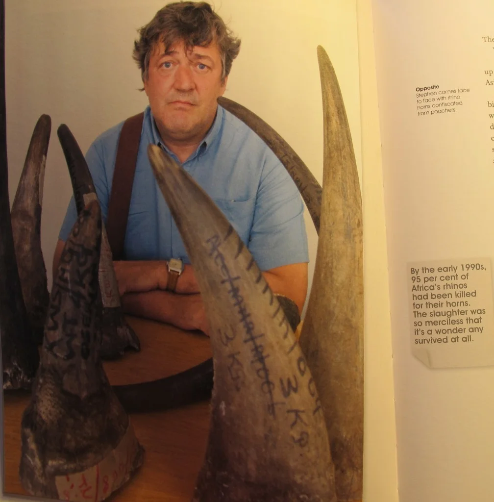 Here's a puzzler in itself. As noted in the book Last Chance to See (the source of this photo of Stephen Fry with rhinoceros horns confiscated from poachers), 95 percent of Africa's rhinos had been killed by the early 1990s, mostly for their horns. Many of those horns are used in ground-up form in Asia for their supposed medicinal properties. Guess what? Rhino horns are composed primarily of keratin, the same protein that makes up your fingernails and toenails. It's tragic that the rhinos had to die when people could have gotten just as much medicinal benefit (i.e., none) by clipping and eating their own nails.