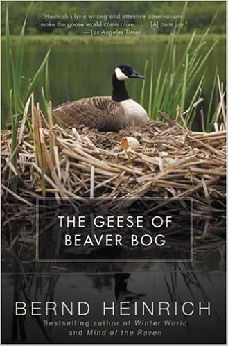 The Geese of Beaver Bog