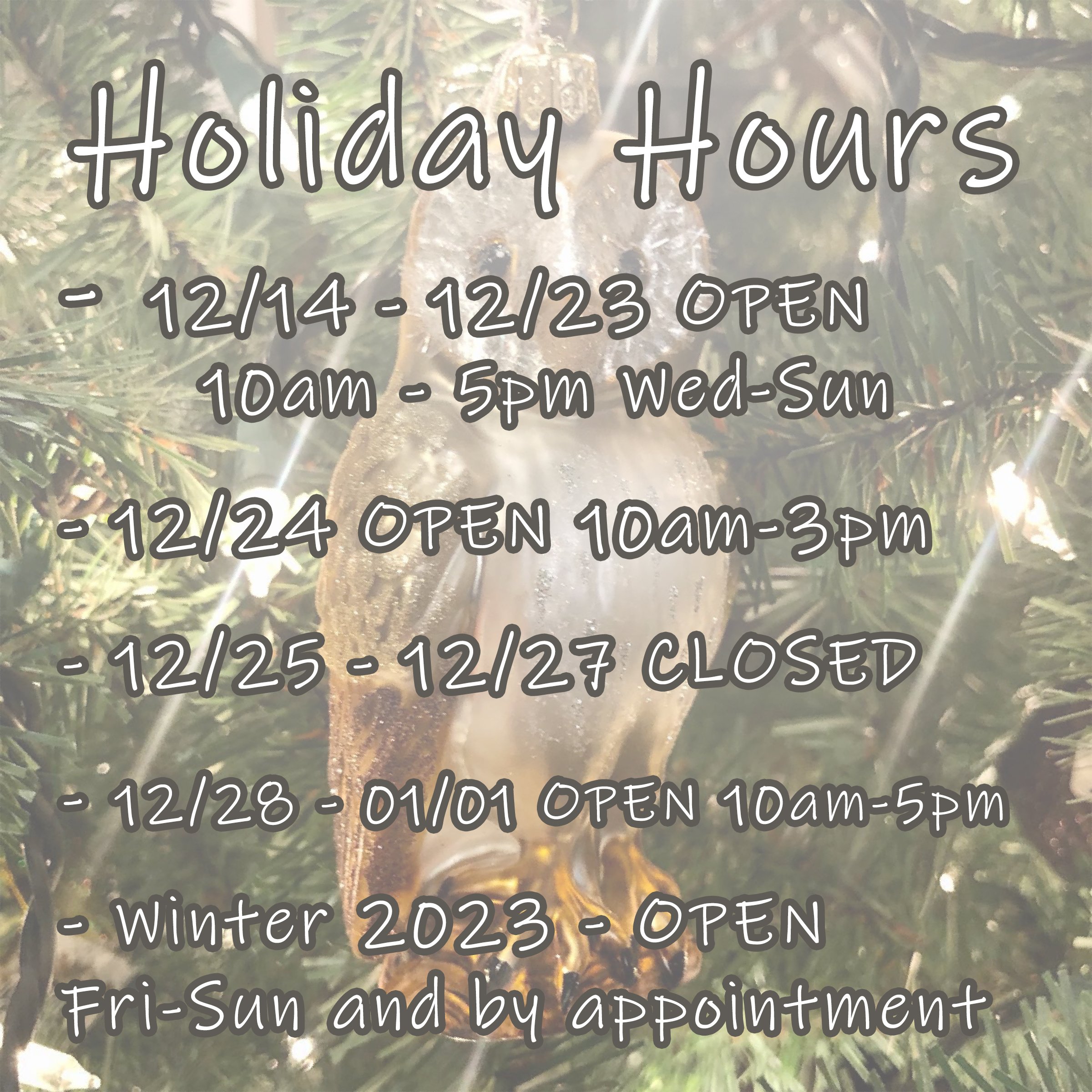 Holiday Hours 2022.jpg