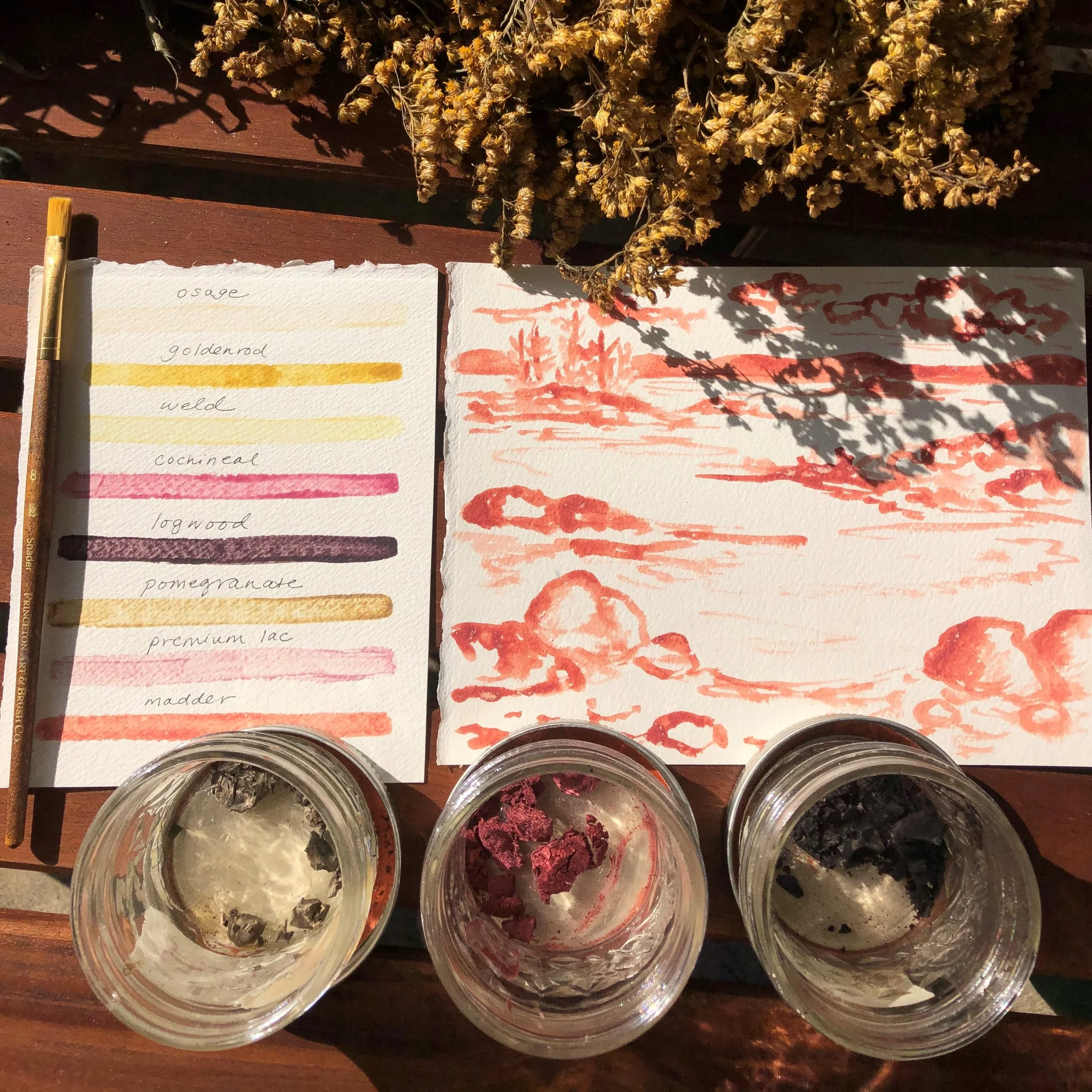 Natural Dyeing and Painting with Plant Pigments