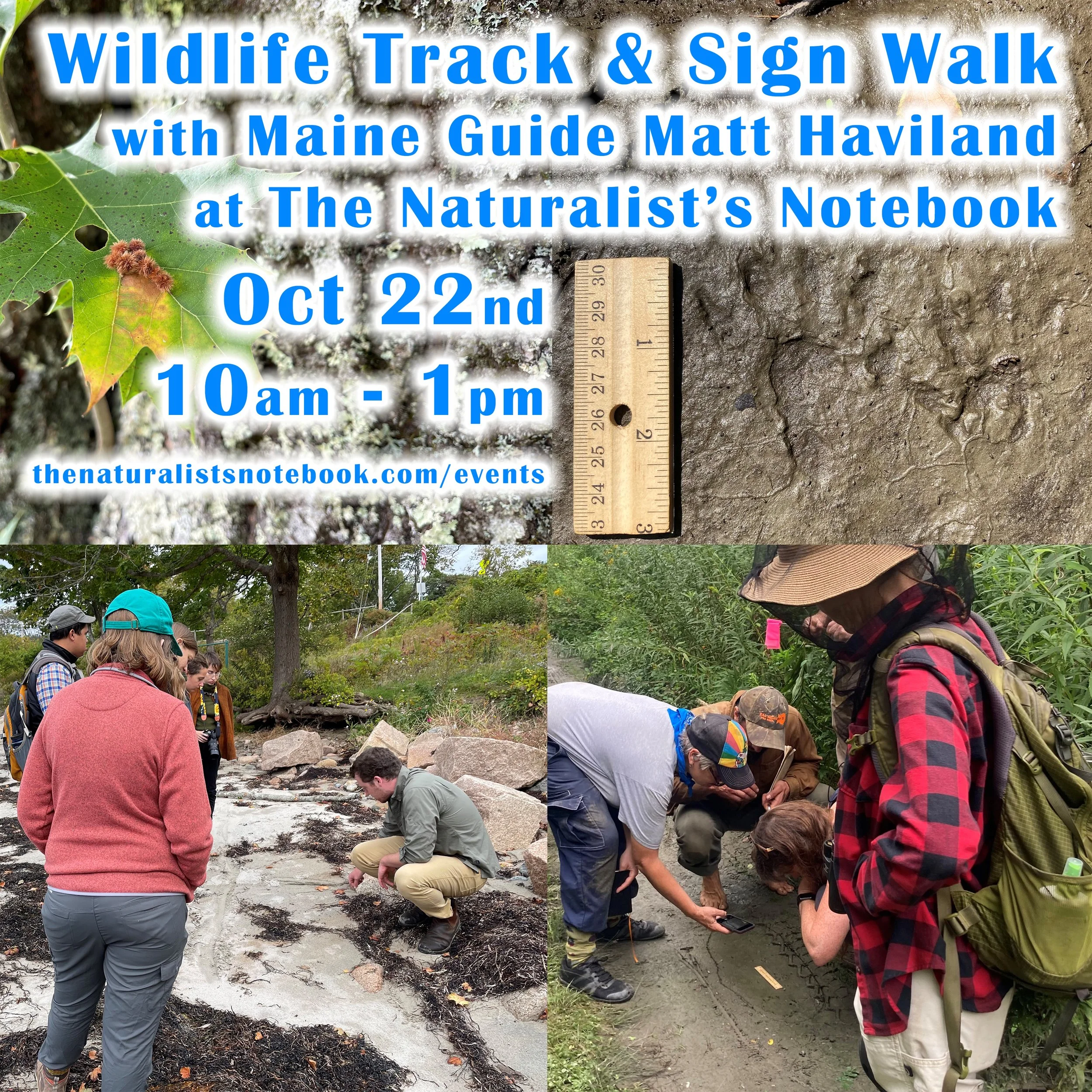Wildlife Track and Sign Walk with Maine Guide Matt Haviland