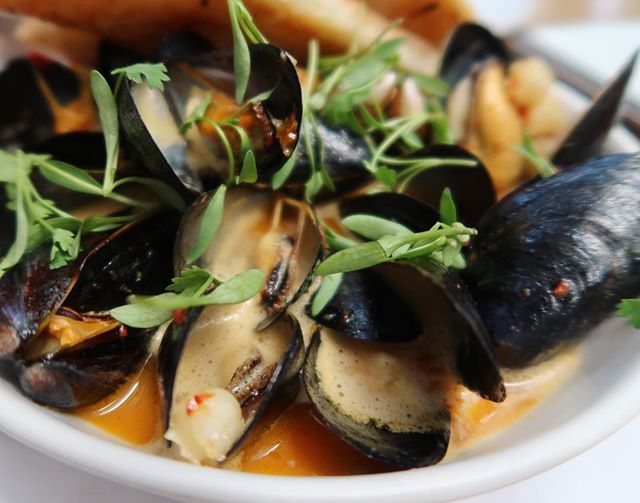 Mussels in chorizo cream sauce 😋😍 🐽 #SoCalTips #LA
Good place for brunch on Sundays. &bull;
&bull;
&bull;
&bull;
&bull;
#food #foodporn #yum #instafood #TagsForLikes #yummy #amazing #instagood #photooftheday #sweet #dinner #lunch #breakfast #fresh