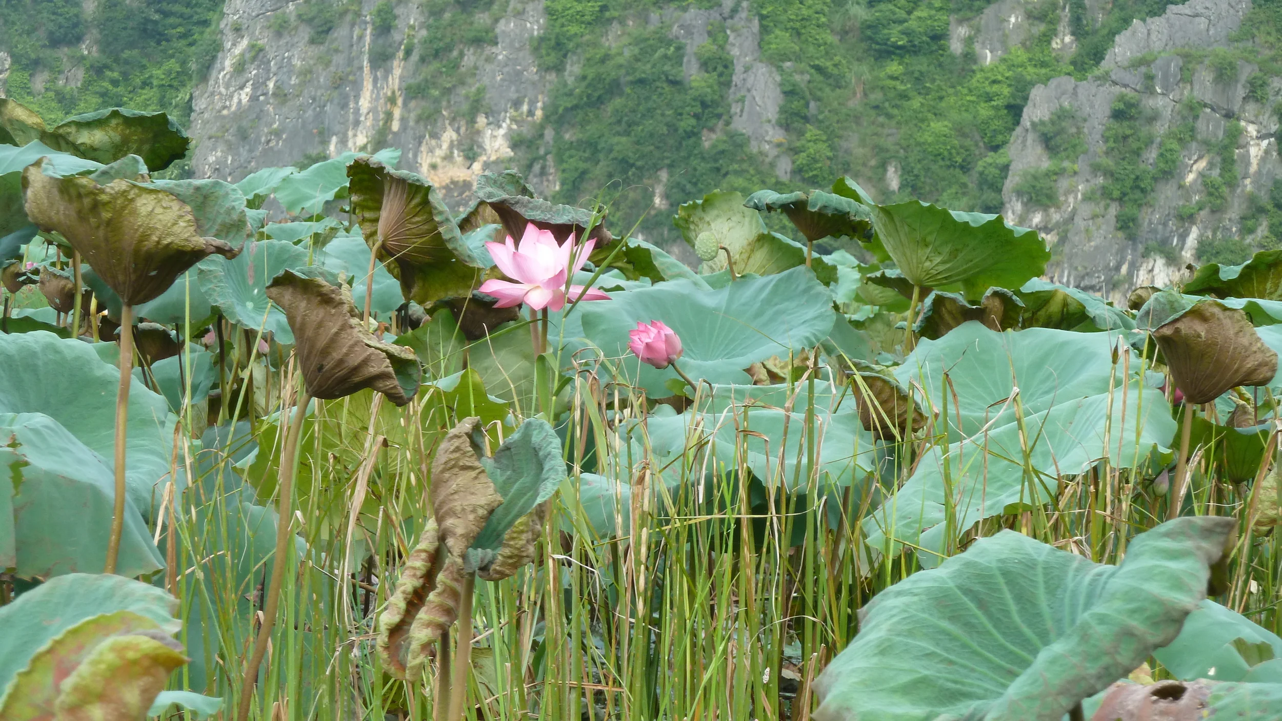  Van Long Nature Reserve, Vietnam 